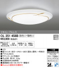 ODELIC ǥå 󥰥饤 OL251458B
