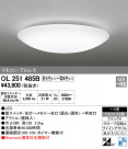 ODELIC ǥå 󥰥饤 OL251485B