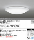 ODELIC ǥå 󥰥饤 OL251509B