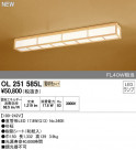 ODELIC ǥå 󥰥饤 OL251585L