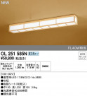 ODELIC ǥå 󥰥饤 OL251585N
