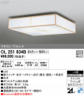 ODELIC ǥå 󥰥饤 OL251634B