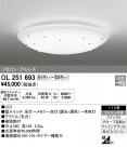 ODELIC ǥå 󥰥饤 OL251693