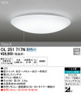 ODELIC ǥå 󥰥饤 OL251717N