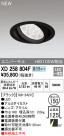 ODELIC ǥå 饤 XD258804F