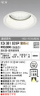 ODELIC ǥå 饤 XD301031P