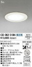 ODELIC ǥå ƥꥢ饤 OD062519N
