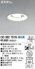 ODELIC ǥå 饤 OD062751N