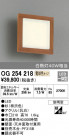 ODELIC ǥå ƥꥢ饤 OG254218