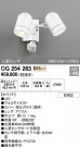 ODELIC ǥå ƥꥢ饤 OG254263