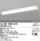 ODELIC ǥå 󥰥饤 OL001738N