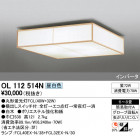 ODELIC ǥå 󥰥饤 OL112514N