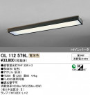 ODELIC ǥå 󥰥饤 OL112579L