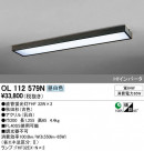 ODELIC ǥå 󥰥饤 OL112579N