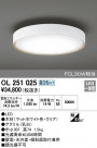 ODELIC ǥå 󥰥饤 OL251025