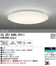 ODELIC ǥå 󥰥饤 OL251030L