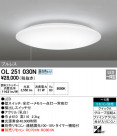 ODELIC ǥå 󥰥饤 OL251030N