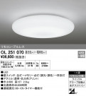 ODELIC ǥå 󥰥饤 OL251070