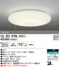 ODELIC ǥå 󥰥饤 OL251070L