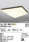 ODELIC ǥå 󥰥饤 OL251080