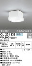 ODELIC ǥå 󥰥饤 OL251238