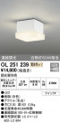 ODELIC ǥå 󥰥饤 OL251239