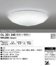 ODELIC ǥå 󥰥饤 OL251248