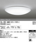 ODELIC ǥå 󥰥饤 OL251485