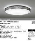 ODELIC ǥå 󥰥饤 OL251529