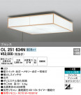 ODELIC ǥå 󥰥饤 OL251634N