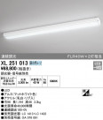 ODELIC ǥå 󥰥饤 XL251013