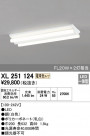 ODELIC ǥå ١饤 XL251124