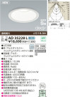 KOIZUMI LEDⵤ̩饤 AD35228L