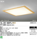 ODELIC ǥå LED 󥰥饤 OL251629TL