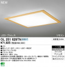 ODELIC ǥå LED 󥰥饤 OL251629TN