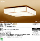 ODELIC ǥå LED 󥰥饤 OL251634TL