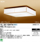 ODELIC ǥå LED 󥰥饤 OL251634TN