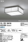 ODELIC ǥå 󥰥饤 OL251841N