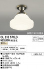 ODELIC ǥå 󥰥饤 OL218571LD
