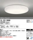ODELIC ǥå 󥰥饤 OL251066B