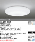ODELIC ǥå 󥰥饤 OL251069B