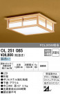 ODELIC ǥå 󥰥饤 OL251085