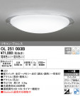 ODELIC ǥå 󥰥饤 OL251093B