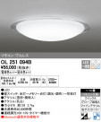 ODELIC ǥå 󥰥饤 OL251094B