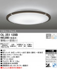 ODELIC ǥå 󥰥饤 OL251120B