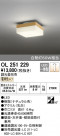 ODELIC ǥå 󥰥饤 OL251229