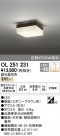 ODELIC ǥå 󥰥饤 OL251231
