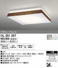 ODELIC ǥå 󥰥饤 OL251257