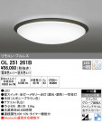 ODELIC ǥå 󥰥饤 OL251261B