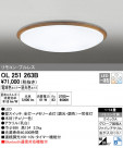 ODELIC ǥå 󥰥饤 OL251263B